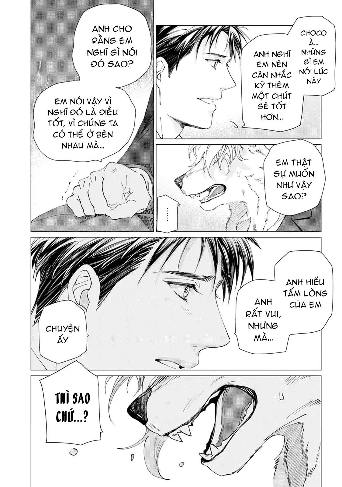 Trang 15