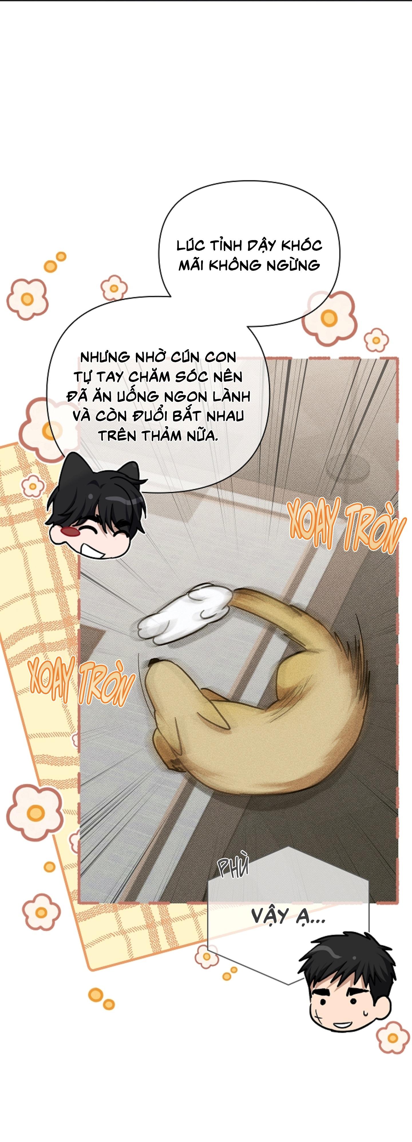 Trang 65