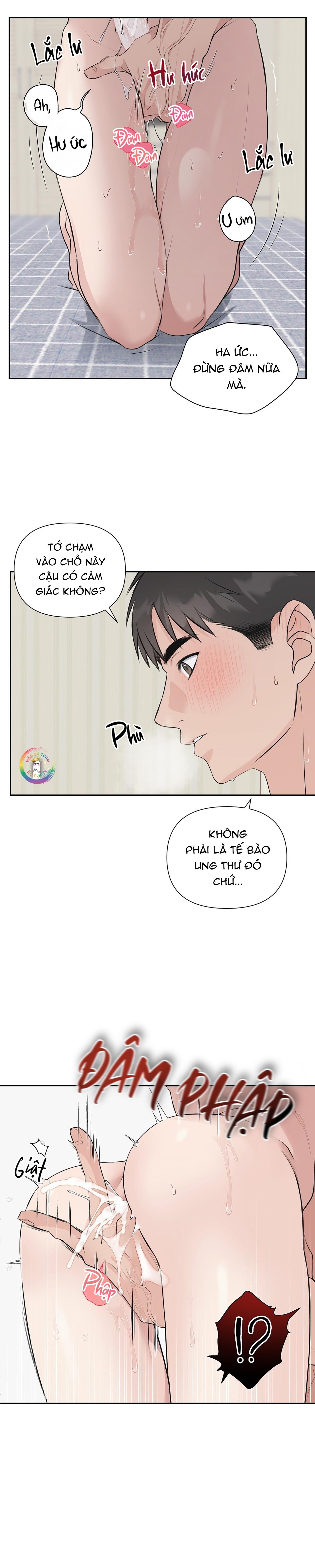 Trang 15