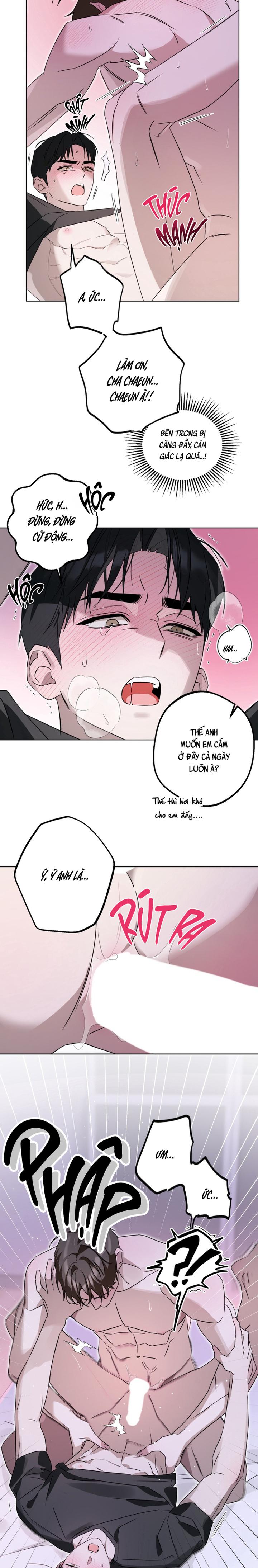 Trang 25