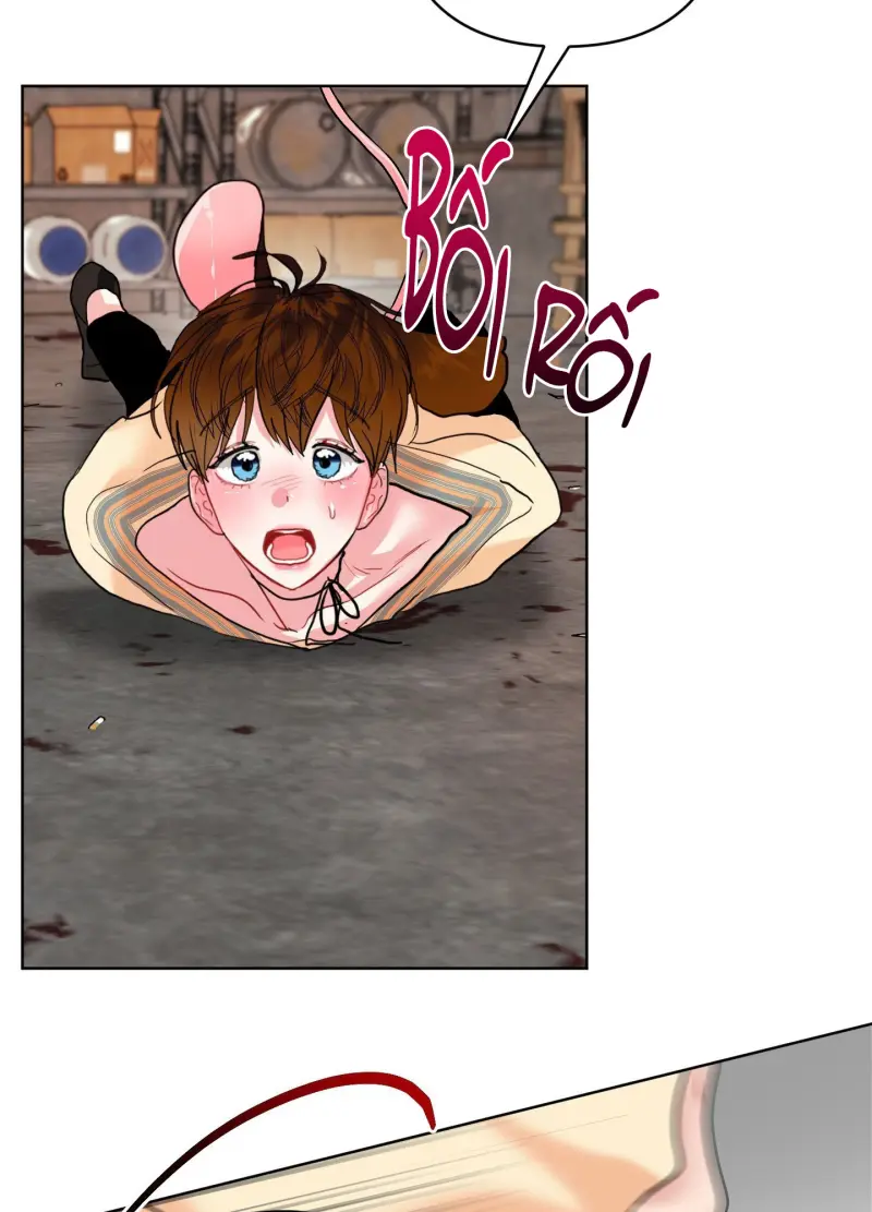 Trang 43