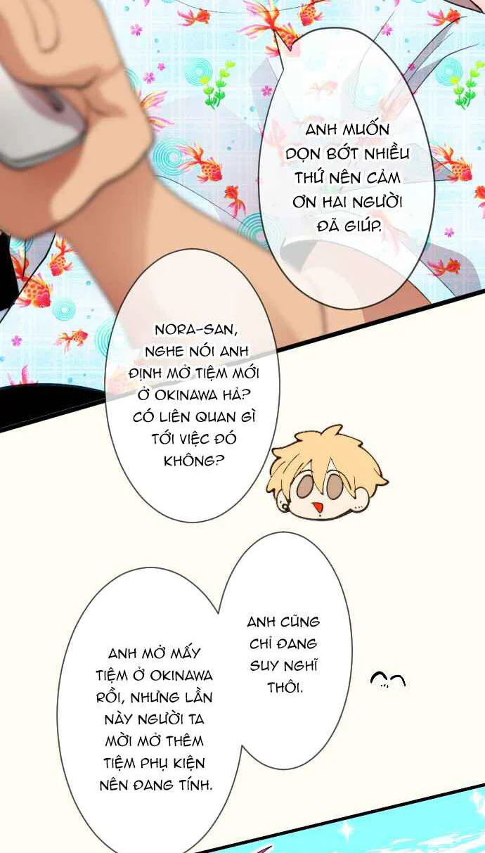 Trang 31