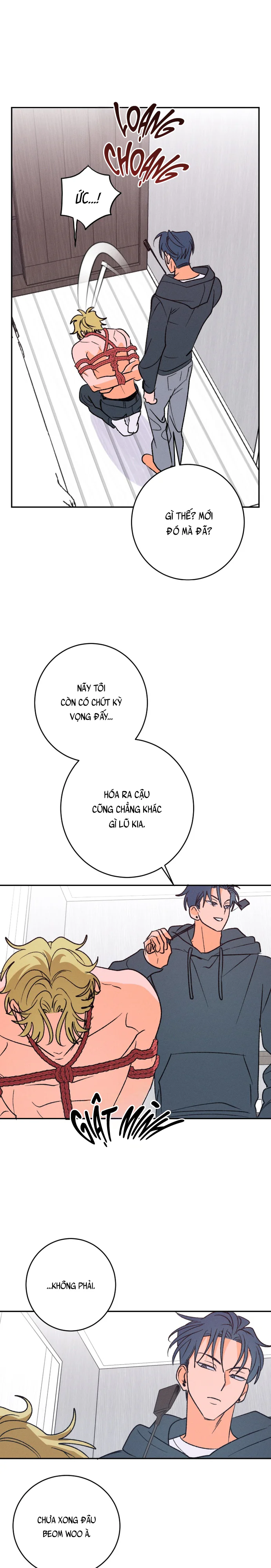 Trang 13