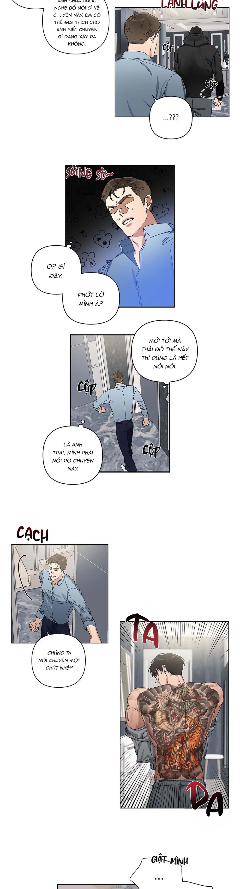 Trang 12