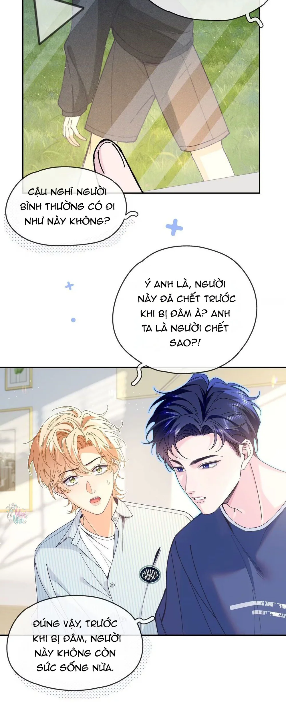 Trang 17