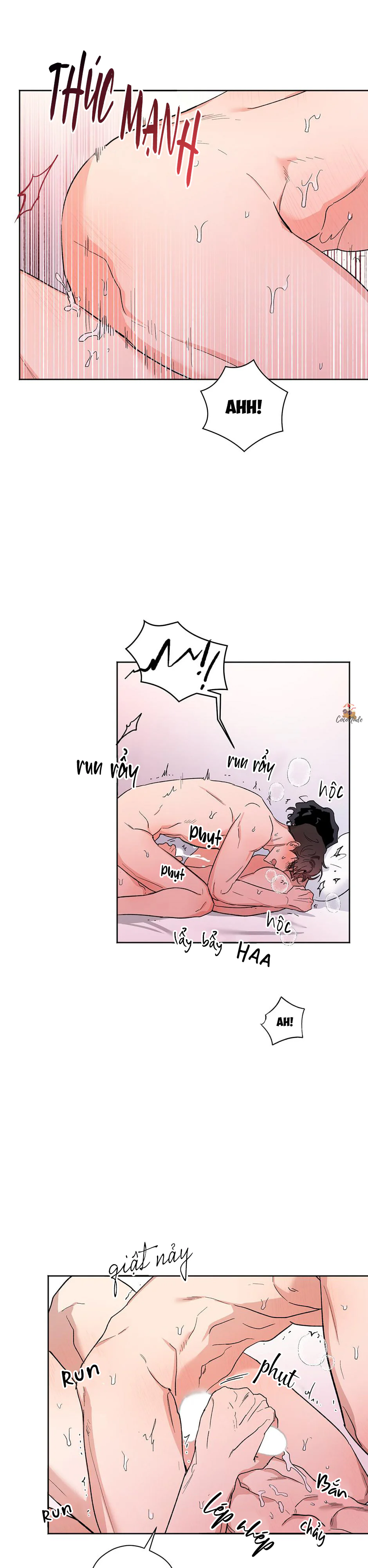 Trang 17