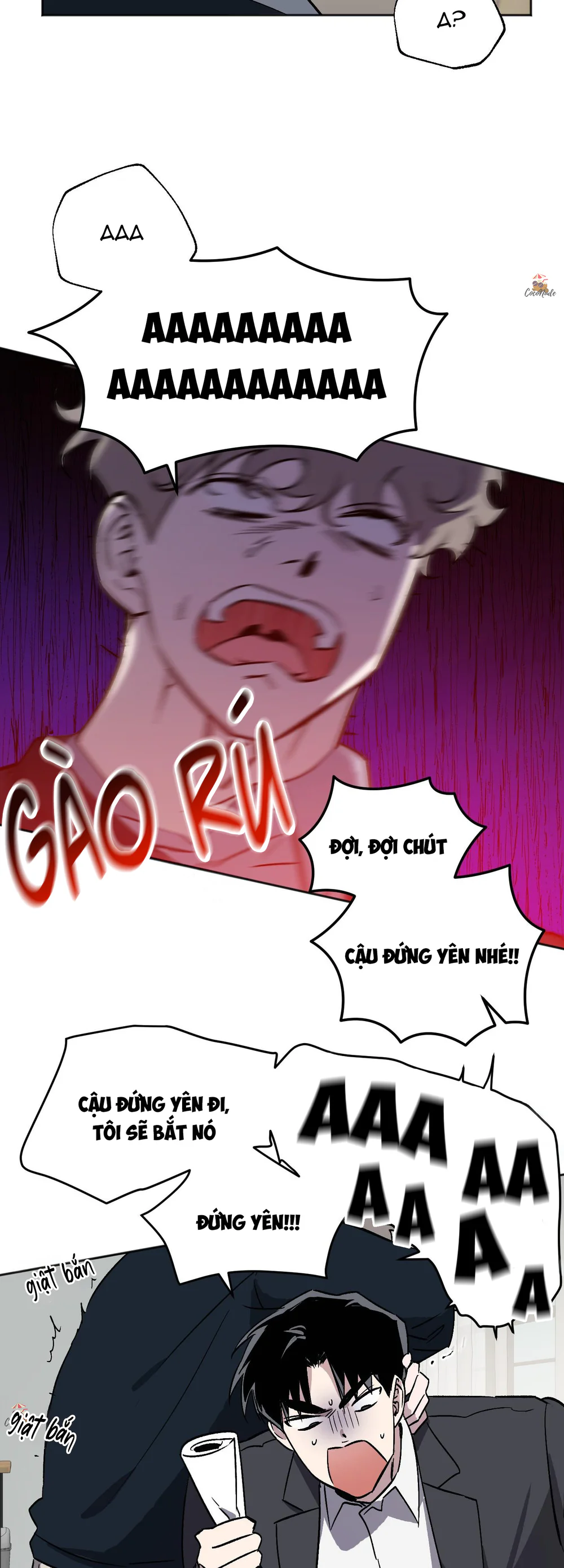 Trang 17