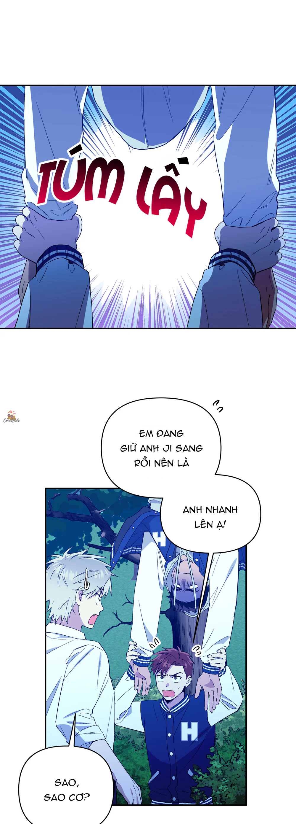 Trang 3