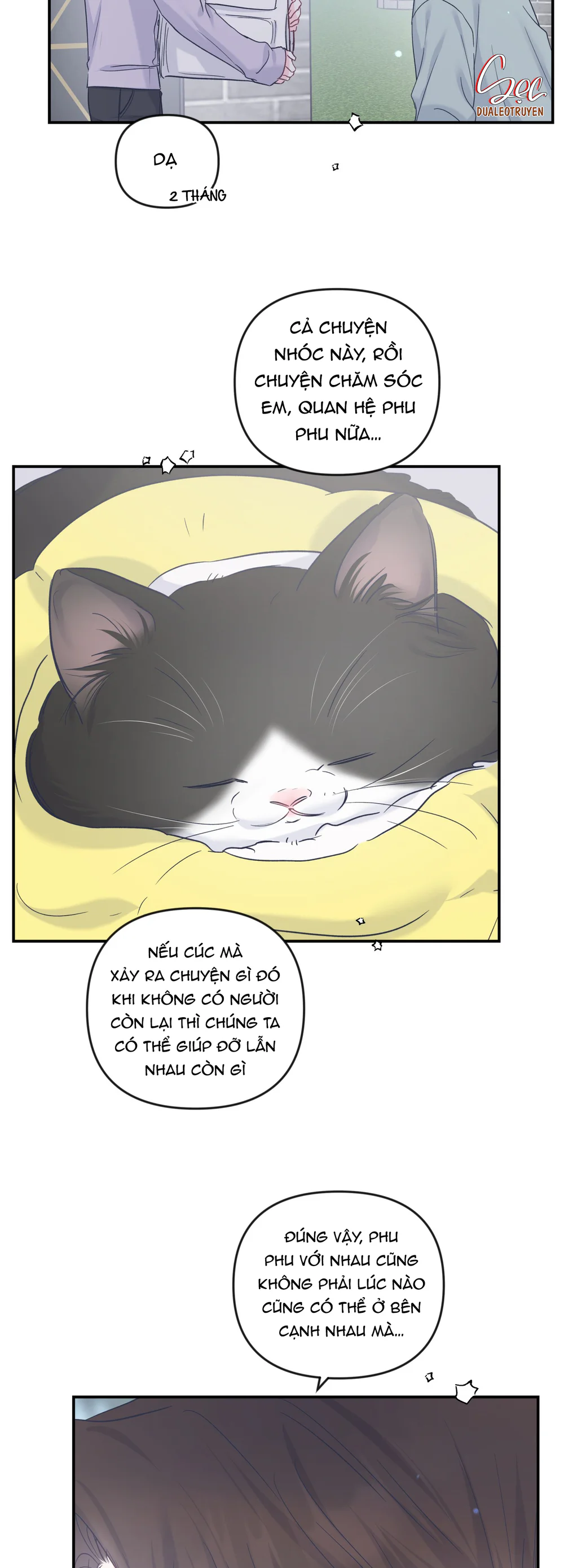 Trang 15