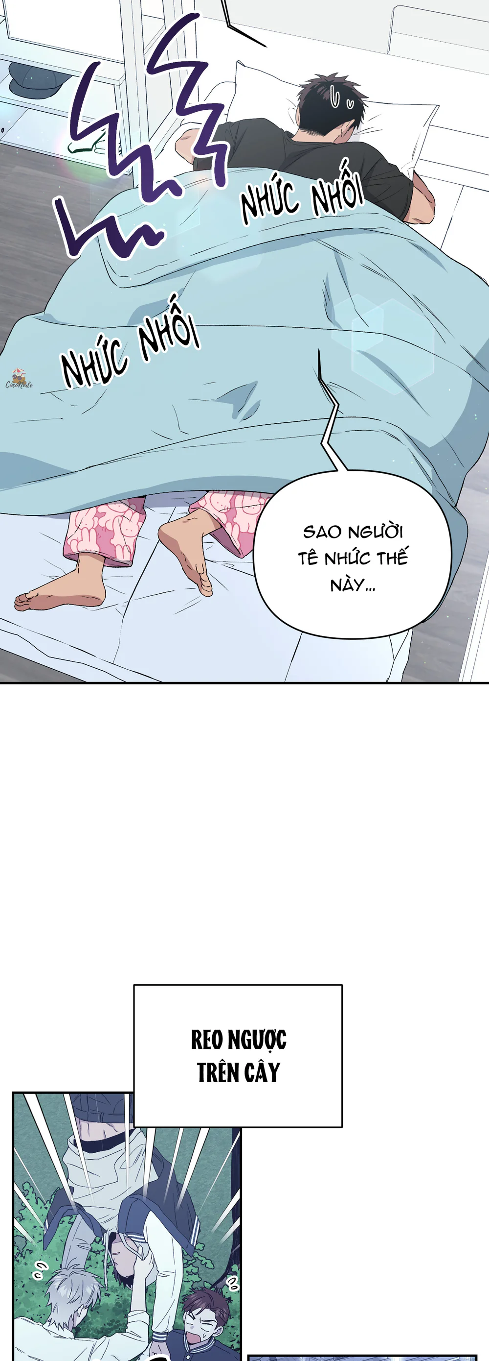 Trang 3