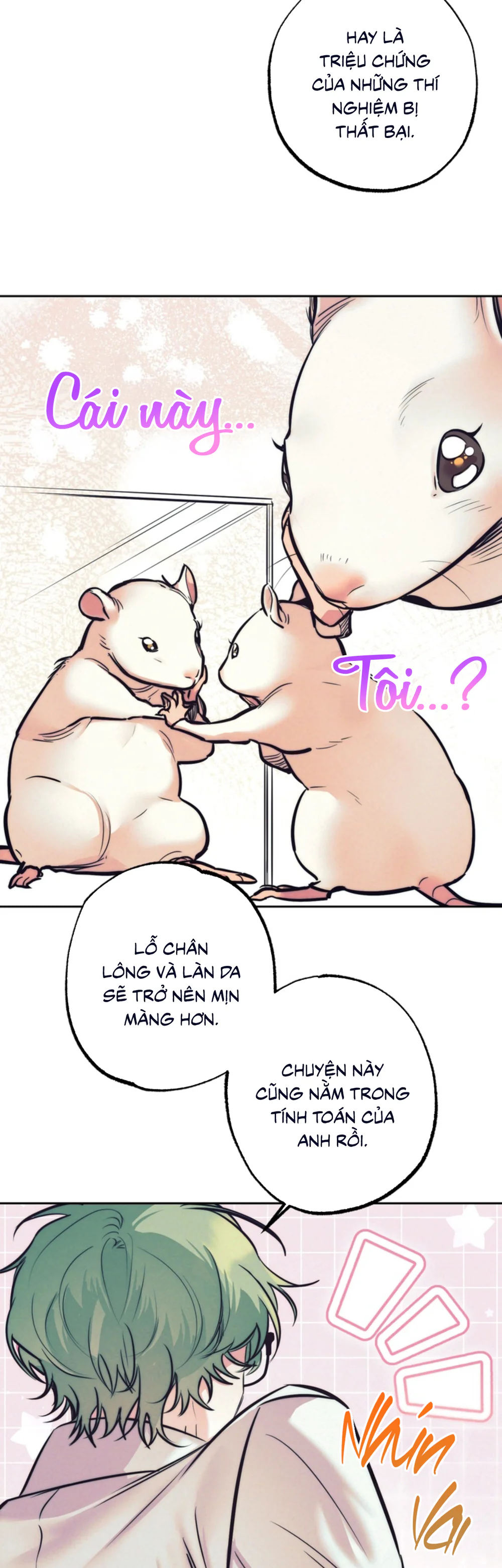 Trang 14