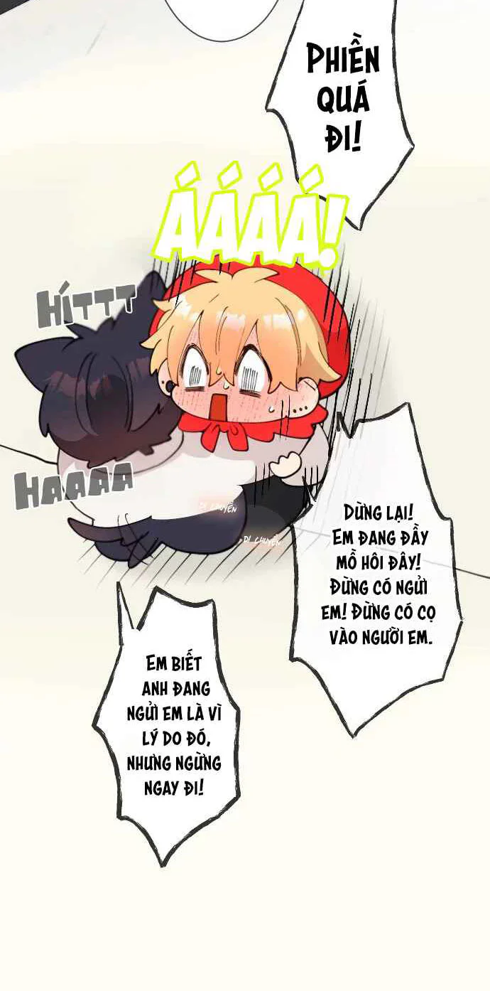 Trang 13