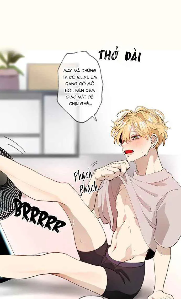 Trang 19