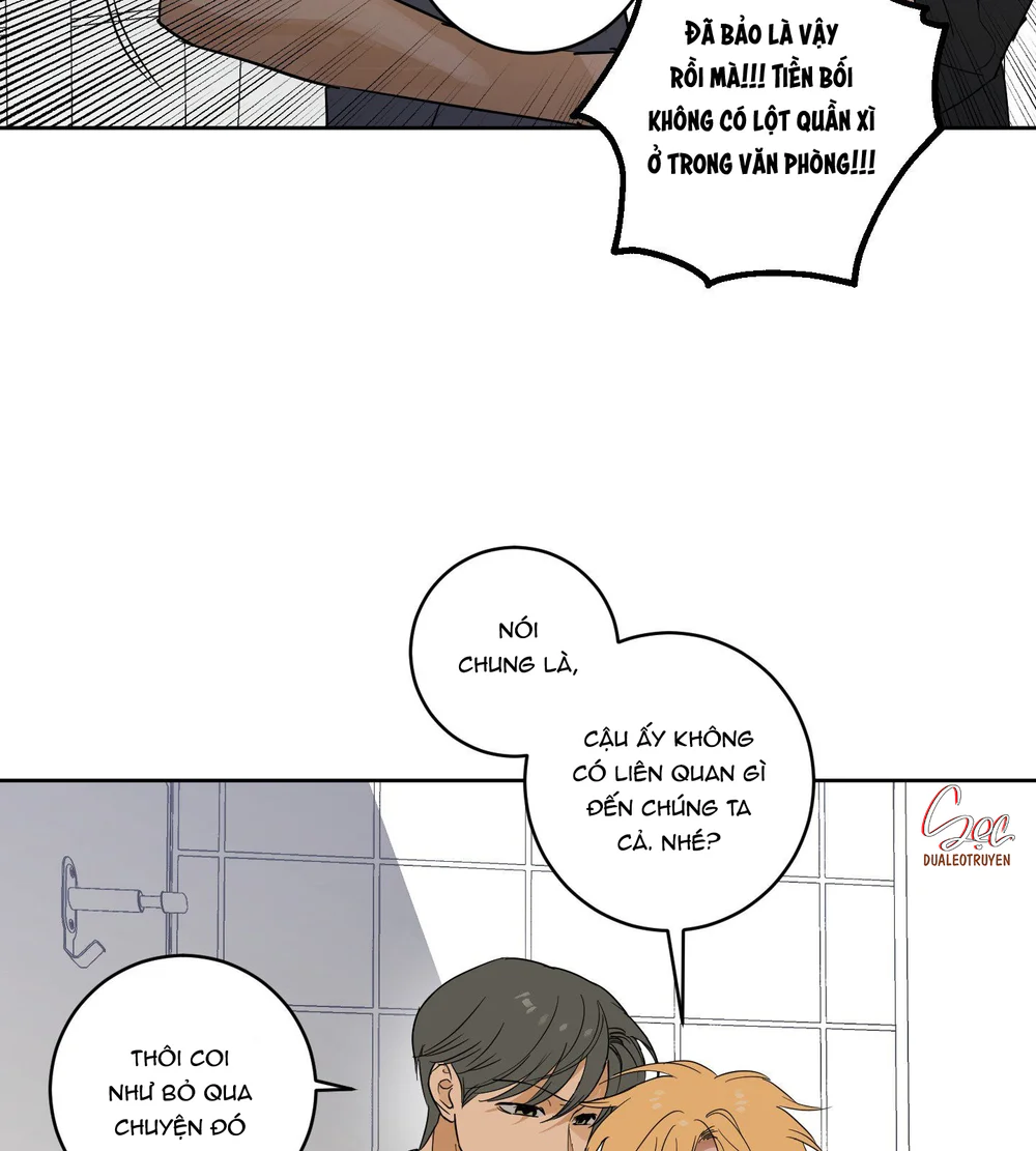 Trang 15