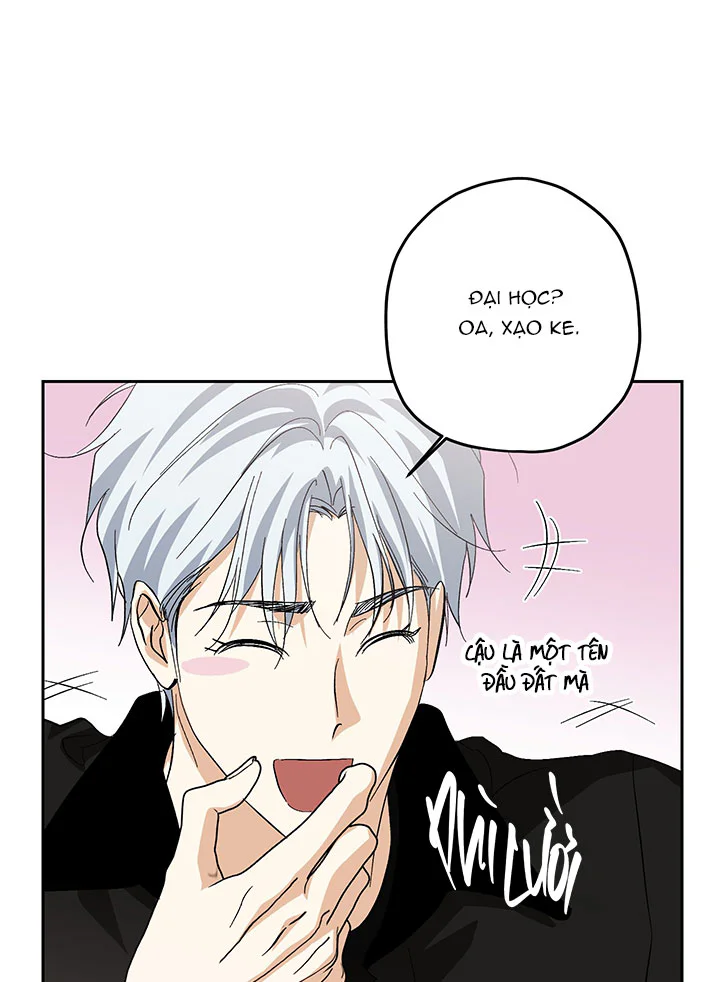 Trang 42