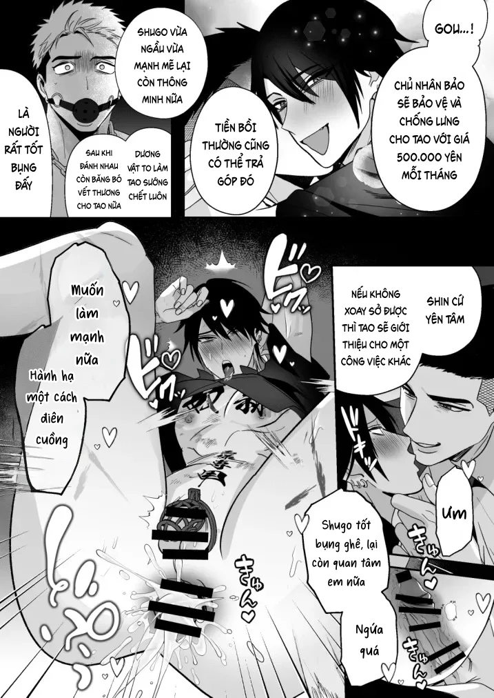 Trang 11