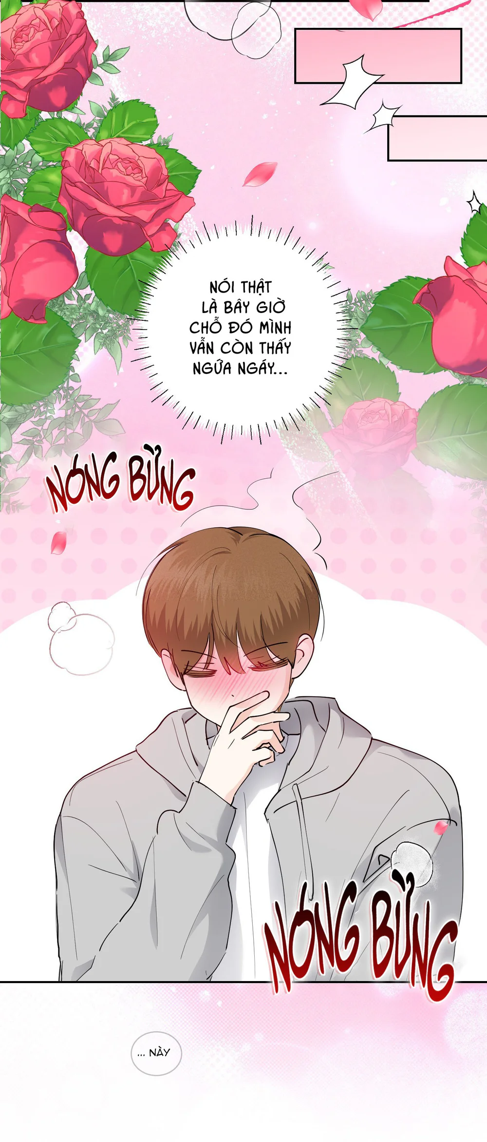 Trang 15