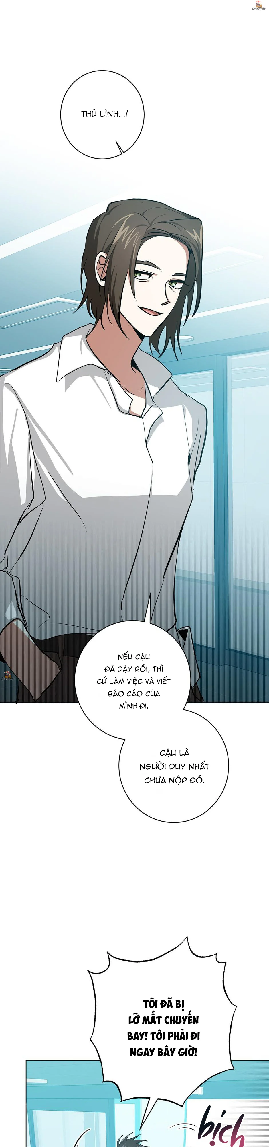 Trang 26