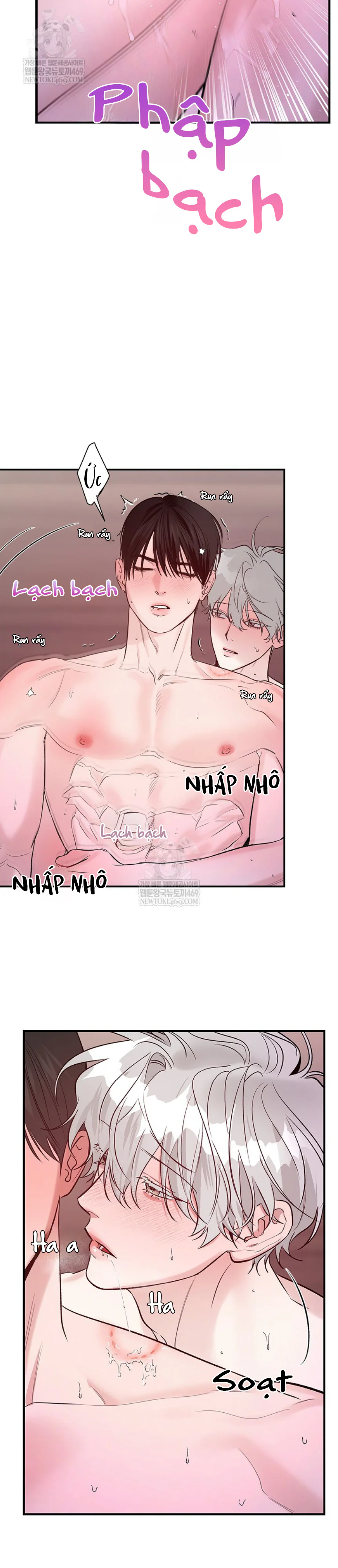 Trang 15