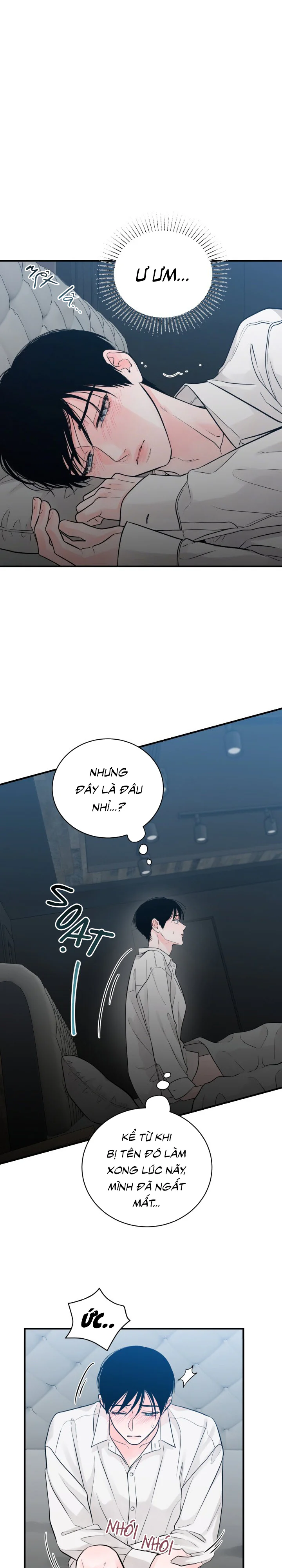 Trang 15