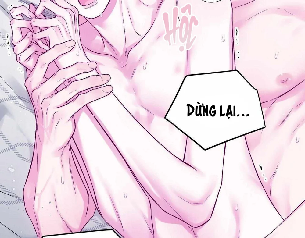 Trang 43