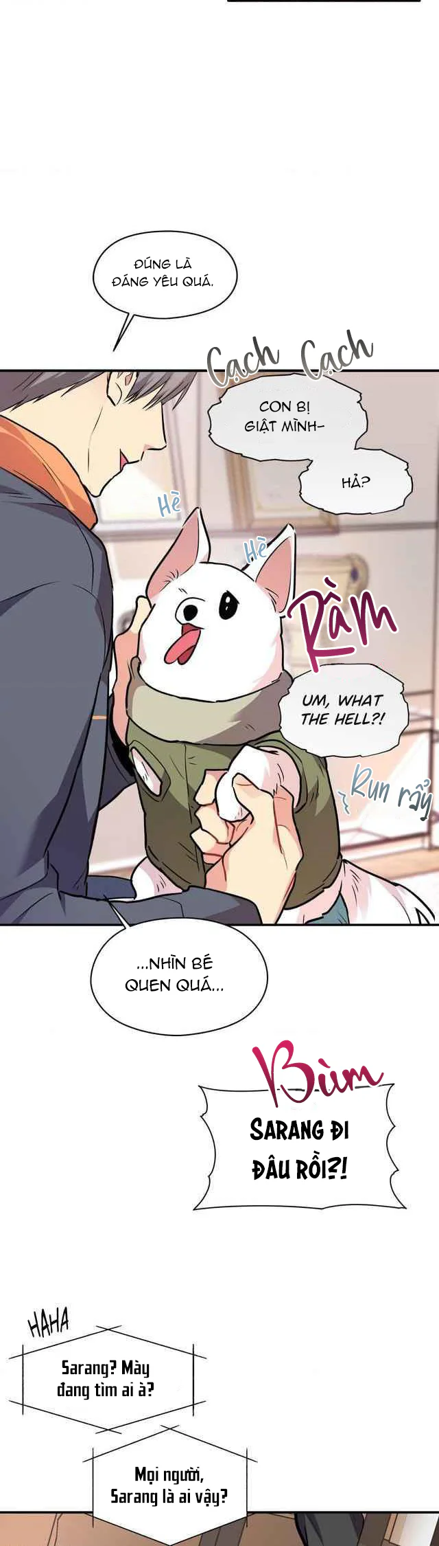 Trang 17