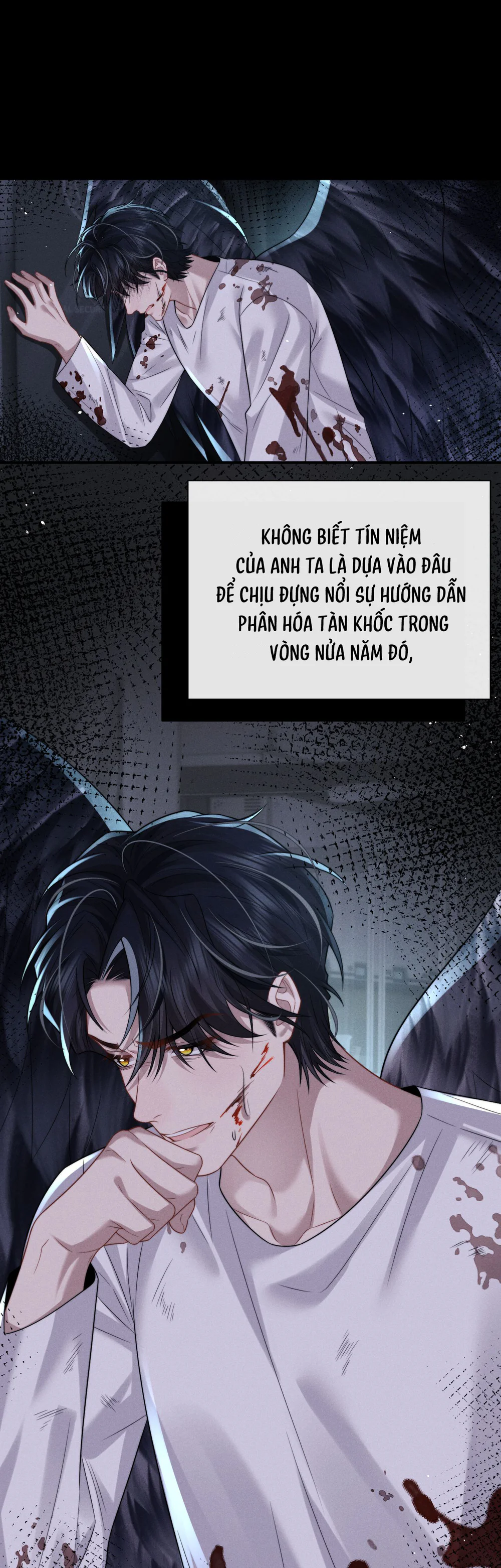 Trang 13
