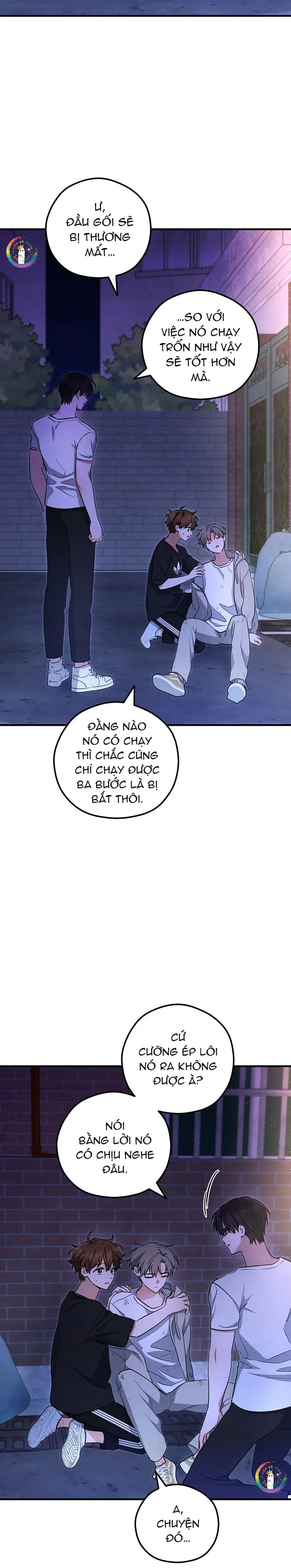 Trang 20