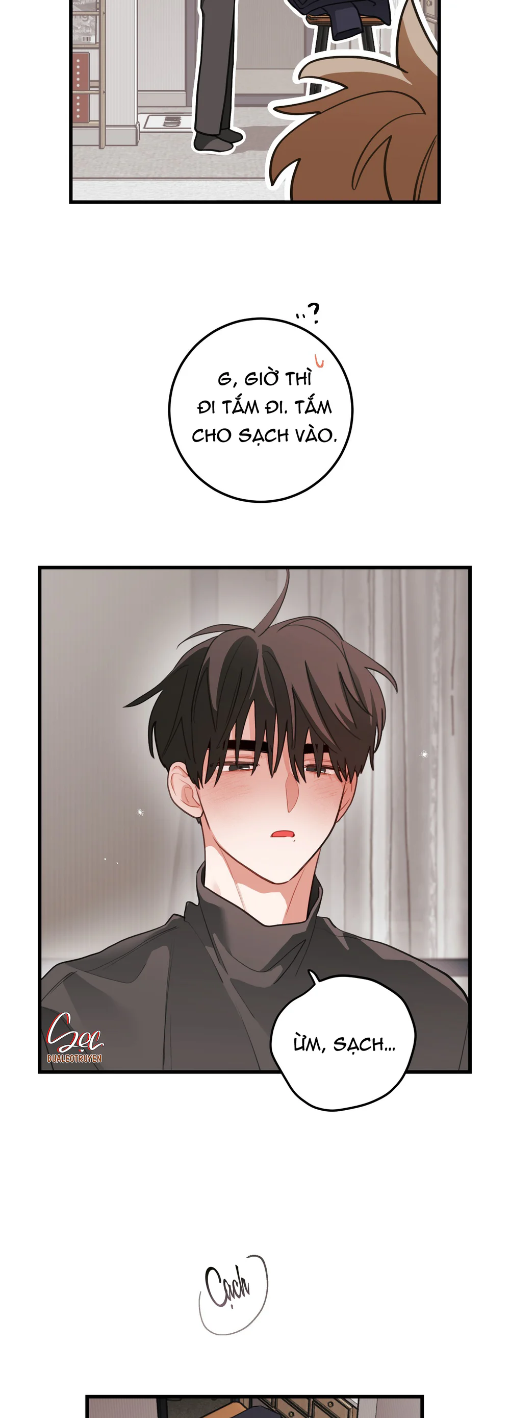 Trang 19
