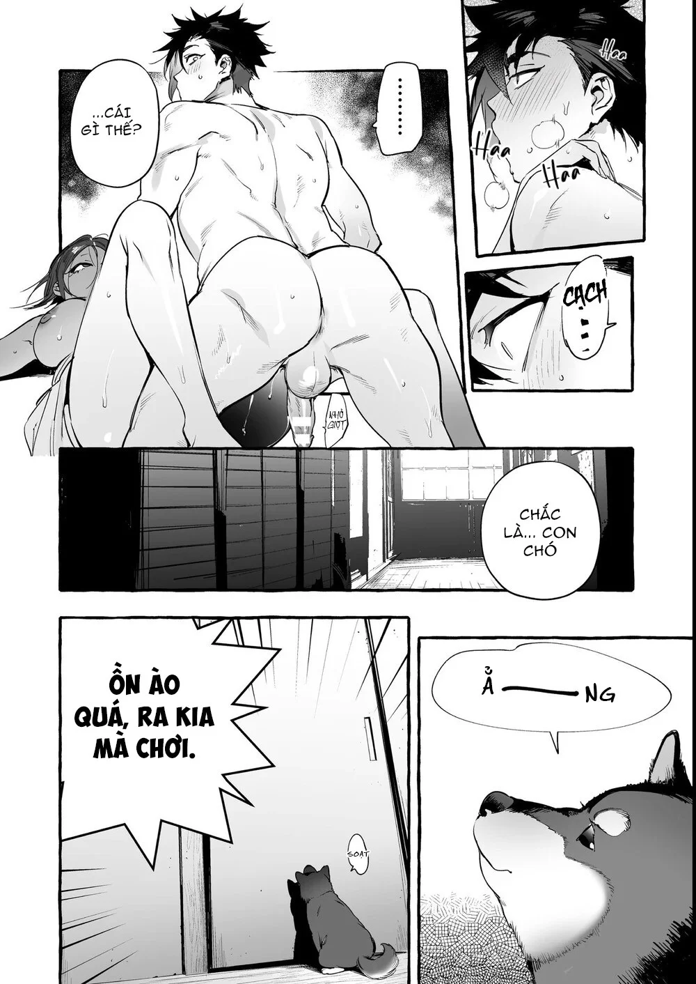 Trang 19