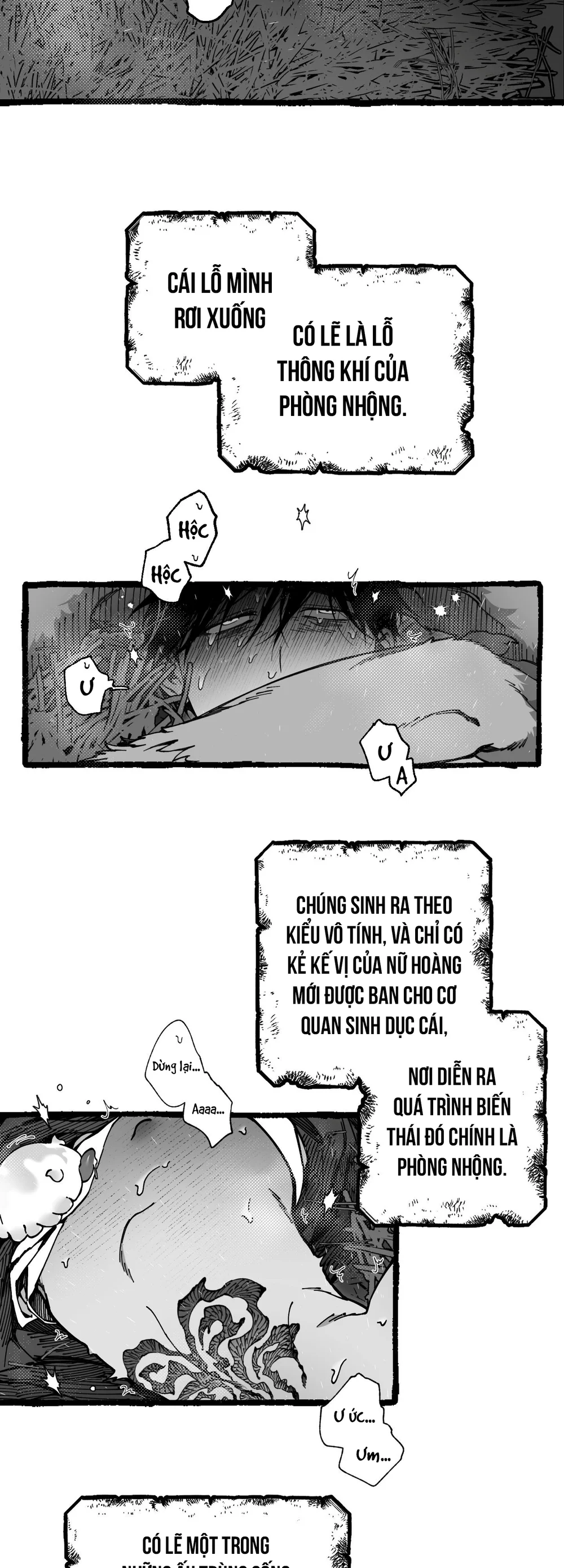 Trang 35