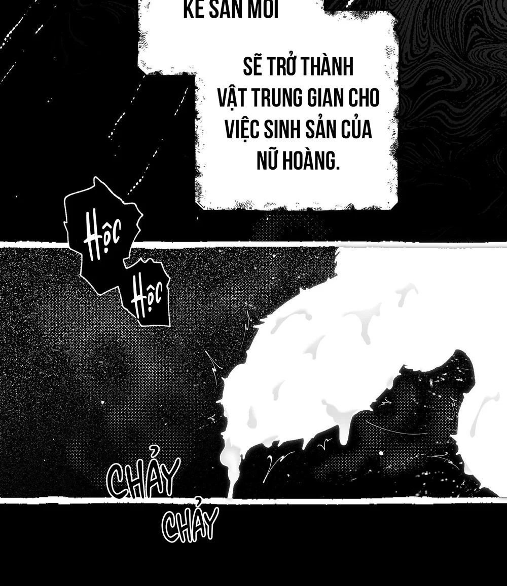 Trang 66