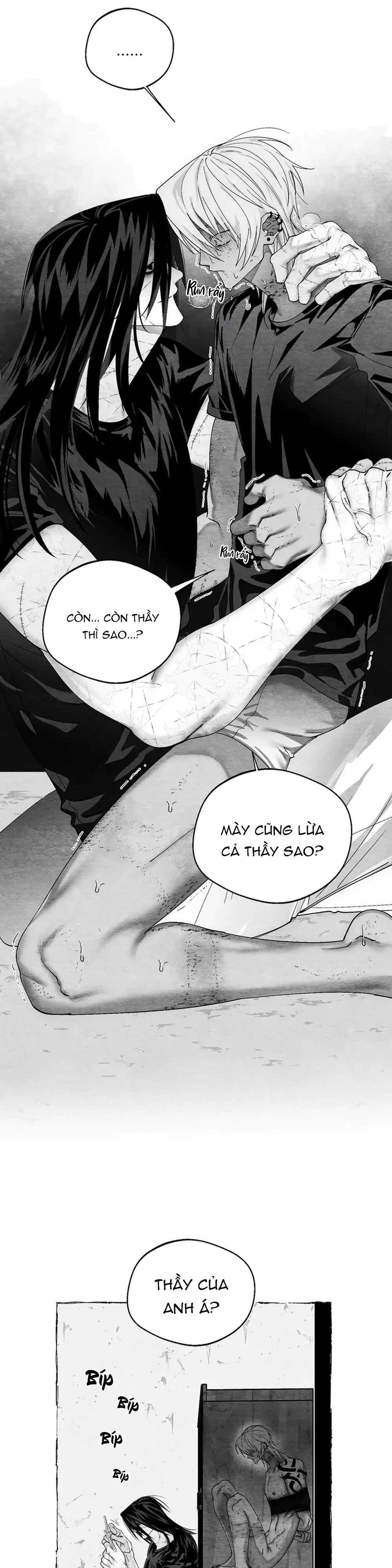 Trang 15