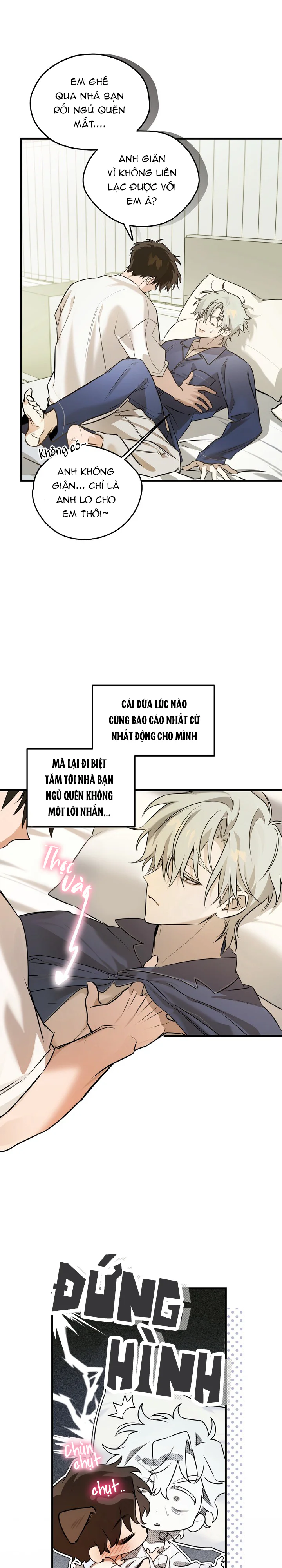 Trang 15