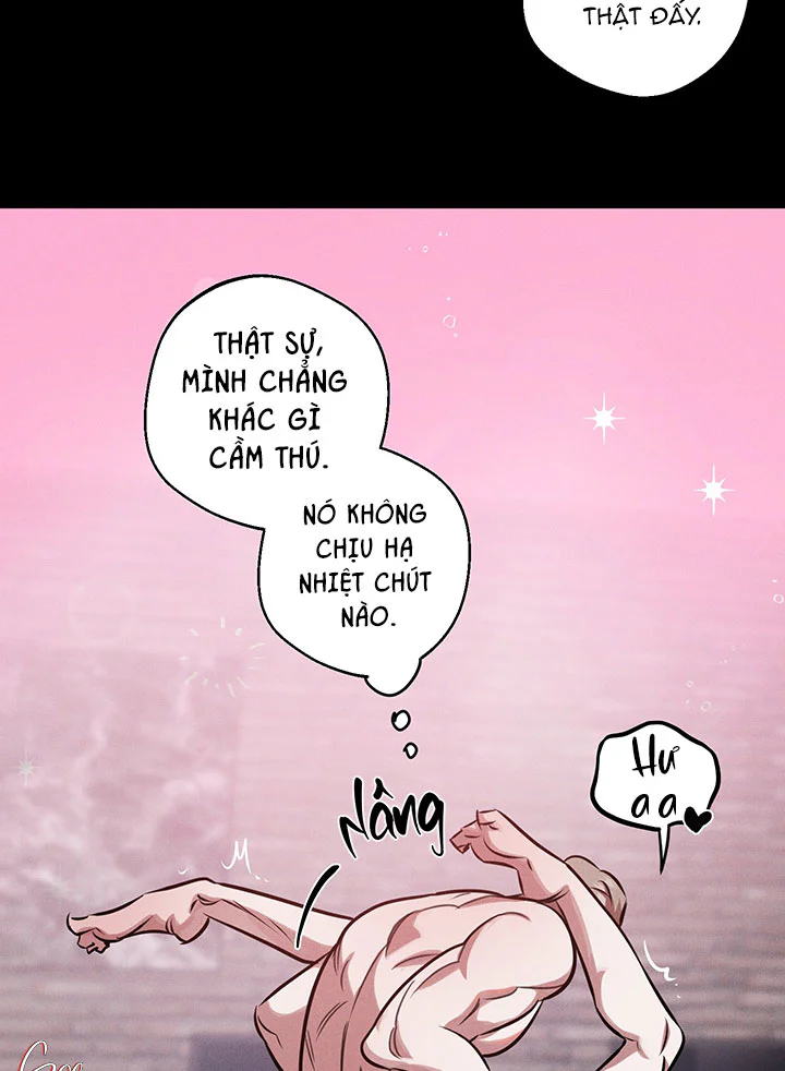 Trang 62
