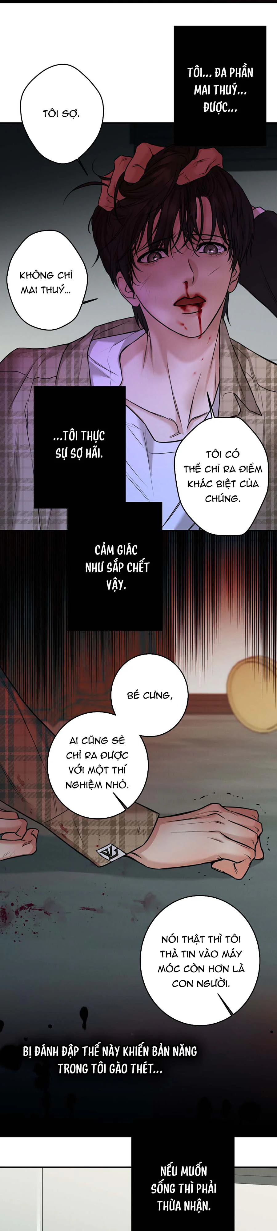Trang 15
