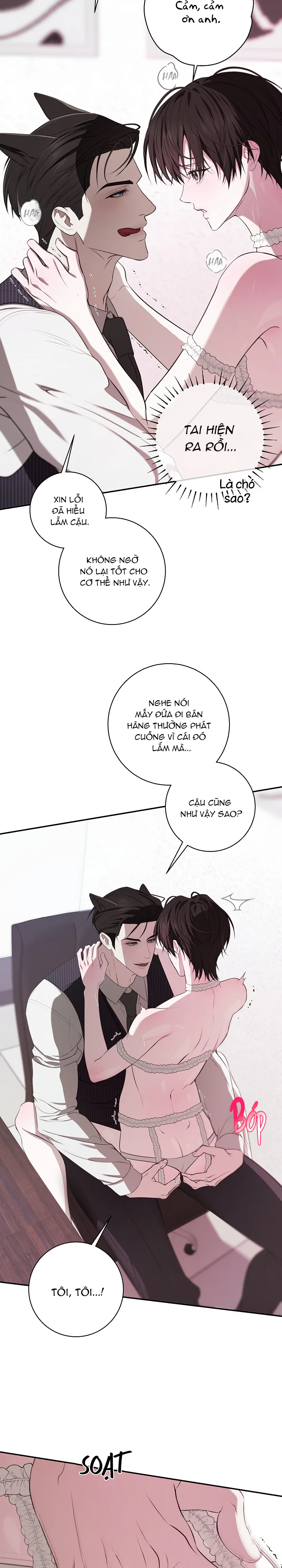 Trang 21