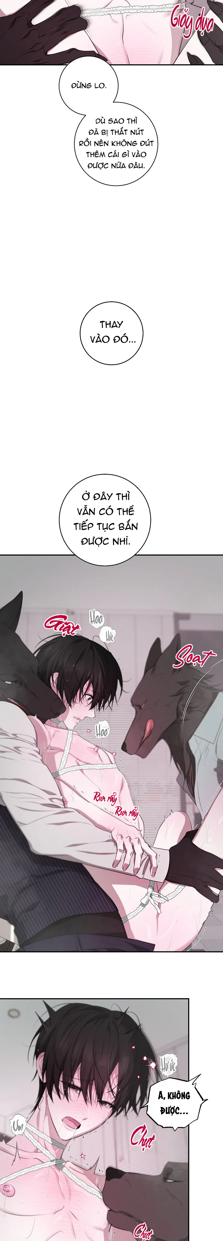 Trang 24