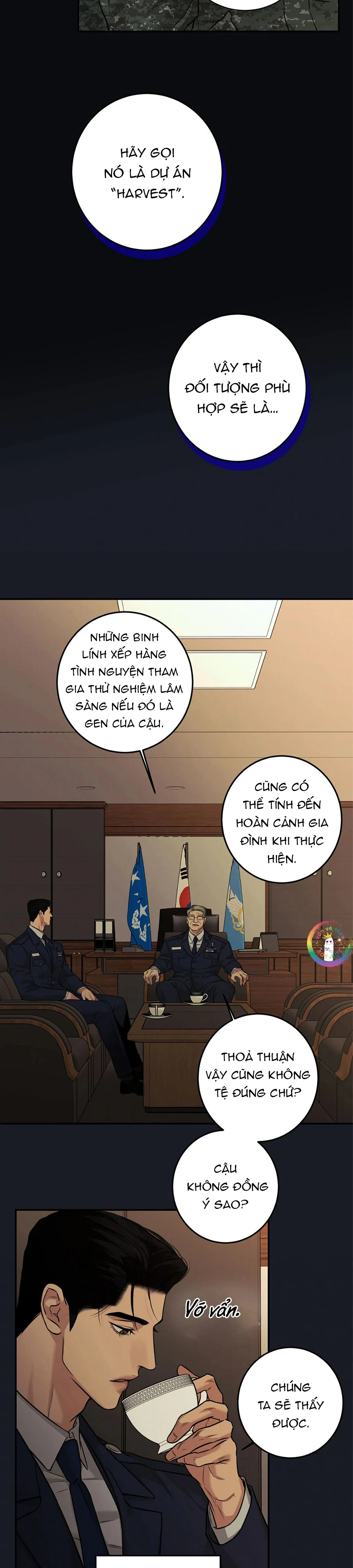 Trang 19