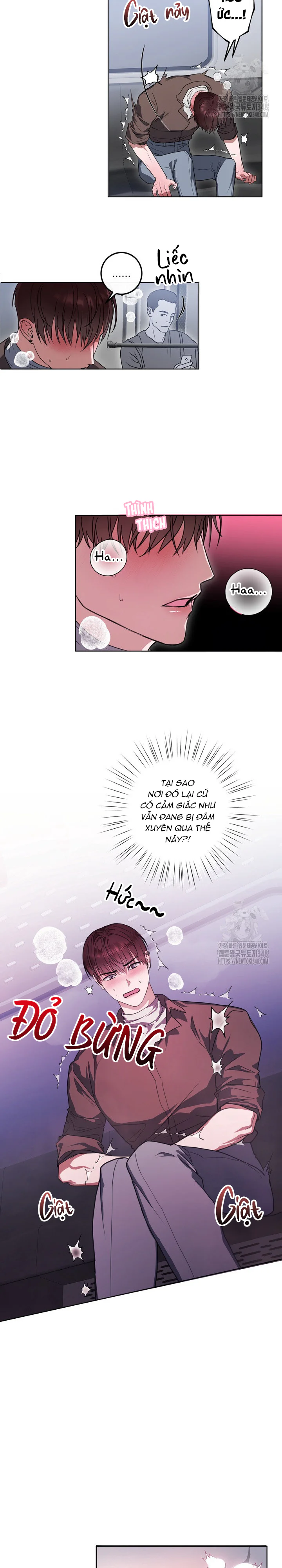 Trang 15