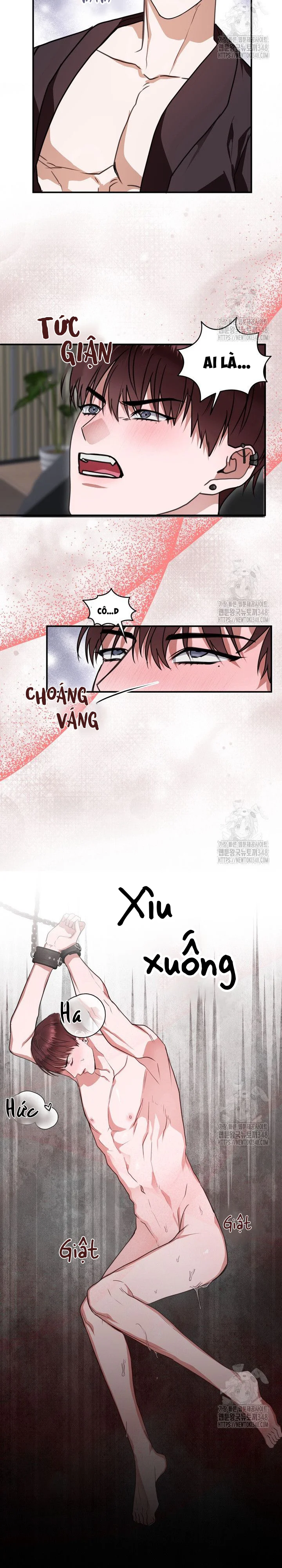 Trang 24