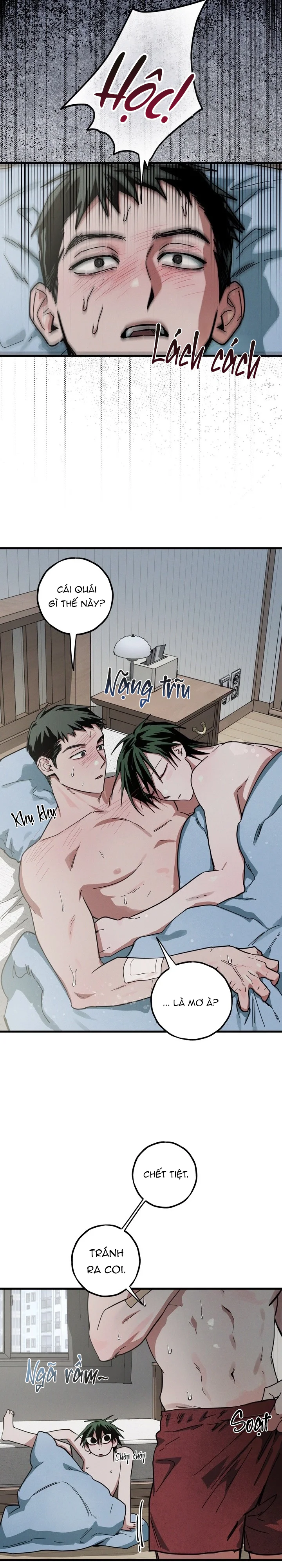 Trang 15