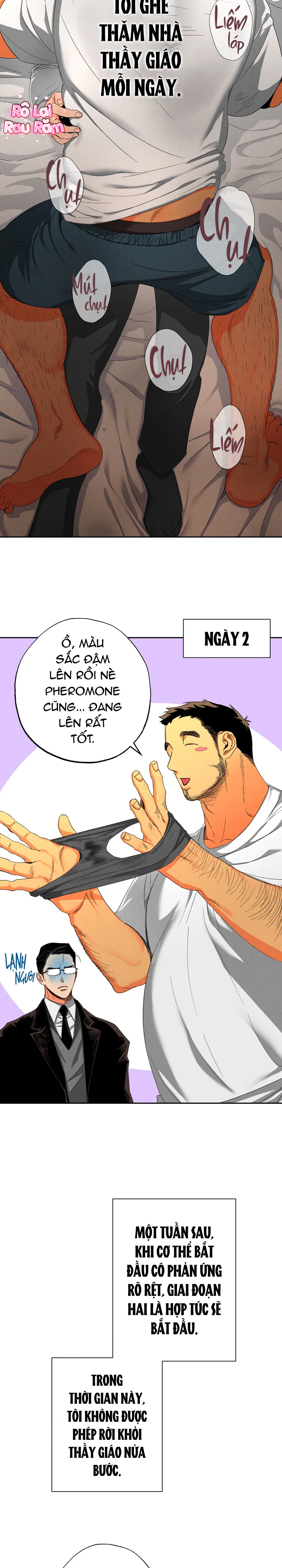 Trang 15