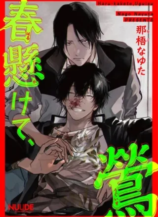 Haru Kakete, Uguisu