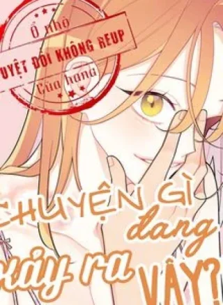 Chuyện Gì Đang Xảy Ra Vậy