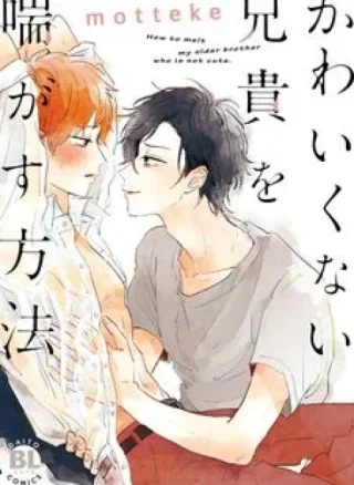 Kawaikunai Aniki o Aegasu Houho-Vol 1