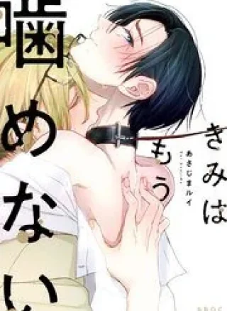 Kimi Wa Mou Kamenai