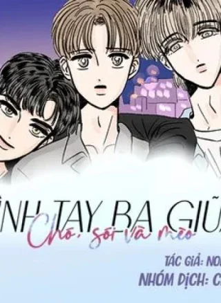 Tình tay ba giữa chó, sói và mèo